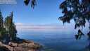 ./images/koeye/fitz-hugh/20250630/fitz-hugh20250630_115509M.jpg