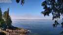 ./images/koeye/fitz-hugh/20250630/fitz-hugh20250630_120012M.jpg