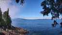 ./images/koeye/fitz-hugh/20250630/fitz-hugh20250630_121010M.jpg