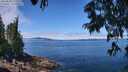./images/koeye/fitz-hugh/20250630/fitz-hugh20250630_121511M.jpg