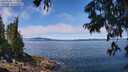 ./images/koeye/fitz-hugh/20250630/fitz-hugh20250630_122011M.jpg