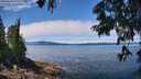 ./images/koeye/fitz-hugh/20250630/fitz-hugh20250630_123012M.jpg