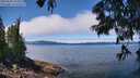./images/koeye/fitz-hugh/20250630/fitz-hugh20250630_123507M.jpg