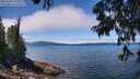 ./images/koeye/fitz-hugh/20250630/fitz-hugh20250630_124009M.jpg