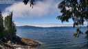 ./images/koeye/fitz-hugh/20250630/fitz-hugh20250630_125009M.jpg