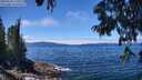 ./images/koeye/fitz-hugh/20250630/fitz-hugh20250630_130012M.jpg