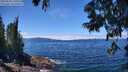 ./images/koeye/fitz-hugh/20250630/fitz-hugh20250630_130511M.jpg