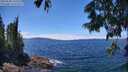 ./images/koeye/fitz-hugh/20250630/fitz-hugh20250630_133509M.jpg
