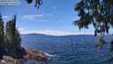 ./images/koeye/fitz-hugh/20250630/fitz-hugh20250630_134010M.jpg