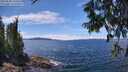 ./images/koeye/fitz-hugh/20250630/fitz-hugh20250630_134511M.jpg