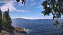 ./images/koeye/fitz-hugh/20250630/fitz-hugh20250630_135011M.jpg