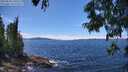 ./images/koeye/fitz-hugh/20250630/fitz-hugh20250630_140508M.jpg