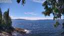 ./images/koeye/fitz-hugh/20250630/fitz-hugh20250630_141511M.jpg