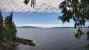 ./images/koeye/fitz-hugh/20250630/fitz-hugh20250630_145011M.jpg