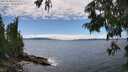 ./images/koeye/fitz-hugh/20250630/fitz-hugh20250630_145510M.jpg