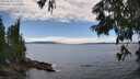 ./images/koeye/fitz-hugh/20250630/fitz-hugh20250630_150011M.jpg