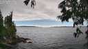 ./images/koeye/fitz-hugh/20250630/fitz-hugh20250630_155510M.jpg