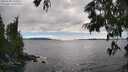 ./images/koeye/fitz-hugh/20250630/fitz-hugh20250630_164511M.jpg