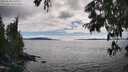 ./images/koeye/fitz-hugh/20250630/fitz-hugh20250630_170011M.jpg