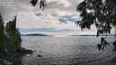 ./images/koeye/fitz-hugh/20250630/fitz-hugh20250630_170511M.jpg