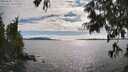 ./images/koeye/fitz-hugh/20250630/fitz-hugh20250630_172510M.jpg