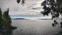 ./images/koeye/fitz-hugh/20250630/fitz-hugh20250630_173011M.jpg