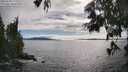 ./images/koeye/fitz-hugh/20250630/fitz-hugh20250630_174008M.jpg