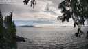 ./images/koeye/fitz-hugh/20250630/fitz-hugh20250630_174510M.jpg