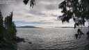 ./images/koeye/fitz-hugh/20250630/fitz-hugh20250630_175011M.jpg