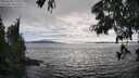 ./images/koeye/fitz-hugh/20250630/fitz-hugh20250630_175510M.jpg