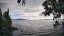 ./images/koeye/fitz-hugh/20250630/fitz-hugh20250630_180012M.jpg