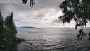 ./images/koeye/fitz-hugh/20250630/fitz-hugh20250630_180510M.jpg