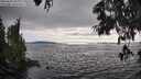 ./images/koeye/fitz-hugh/20250630/fitz-hugh20250630_182006M.jpg