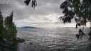 ./images/koeye/fitz-hugh/20250630/fitz-hugh20250630_183509M.jpg