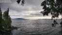 ./images/koeye/fitz-hugh/20250630/fitz-hugh20250630_184511M.jpg