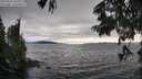 ./images/koeye/fitz-hugh/20250630/fitz-hugh20250630_185011M.jpg