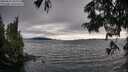 ./images/koeye/fitz-hugh/20250630/fitz-hugh20250630_185509M.jpg