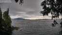 ./images/koeye/fitz-hugh/20250630/fitz-hugh20250630_192009M.jpg