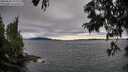 ./images/koeye/fitz-hugh/20250630/fitz-hugh20250630_192509M.jpg
