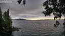 ./images/koeye/fitz-hugh/20250630/fitz-hugh20250630_193509M.jpg