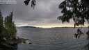 ./images/koeye/fitz-hugh/20250630/fitz-hugh20250630_195010M.jpg
