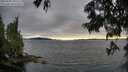 ./images/koeye/fitz-hugh/20250630/fitz-hugh20250630_195509M.jpg