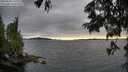 ./images/koeye/fitz-hugh/20250630/fitz-hugh20250630_200009M.jpg