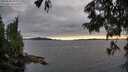 ./images/koeye/fitz-hugh/20250630/fitz-hugh20250630_202009M.jpg