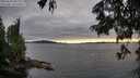 ./images/koeye/fitz-hugh/20250630/fitz-hugh20250630_202508M.jpg