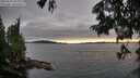 ./images/koeye/fitz-hugh/20250630/fitz-hugh20250630_203009M.jpg