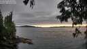 ./images/koeye/fitz-hugh/20250630/fitz-hugh20250630_203508M.jpg