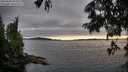./images/koeye/fitz-hugh/20250630/fitz-hugh20250630_204009M.jpg
