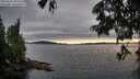 ./images/koeye/fitz-hugh/20250630/fitz-hugh20250630_204509M.jpg