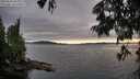 ./images/koeye/fitz-hugh/20250630/fitz-hugh20250630_205009M.jpg